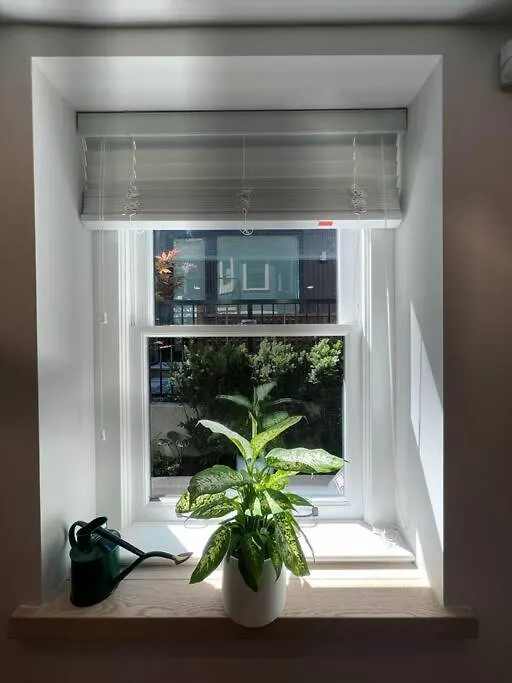 Apartment A Gentle Hideaway In The Urban Forest West End Downtown Vancouver