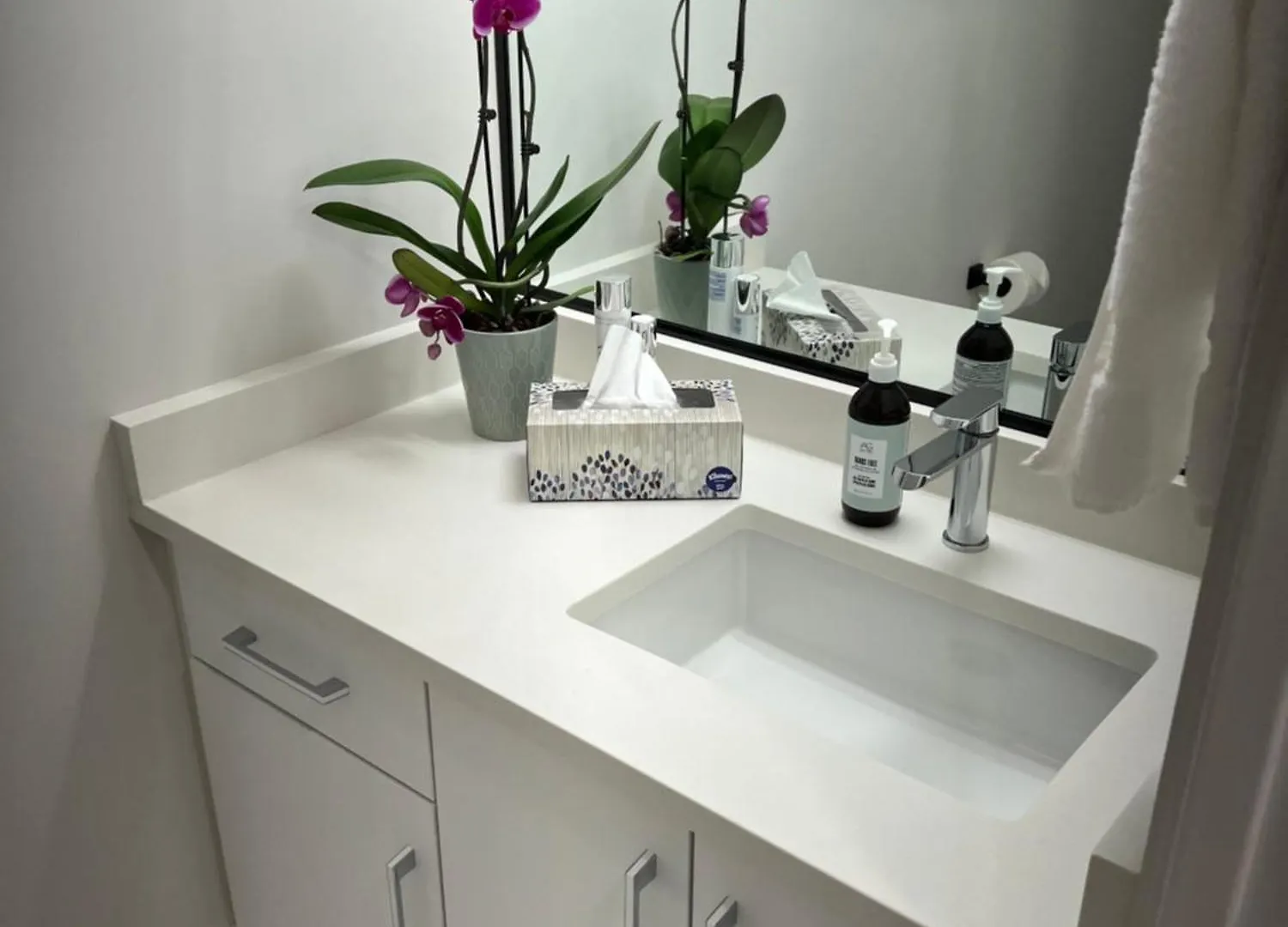 A Gentle Hideaway In The Urban Forest West End Downtown Vancouver